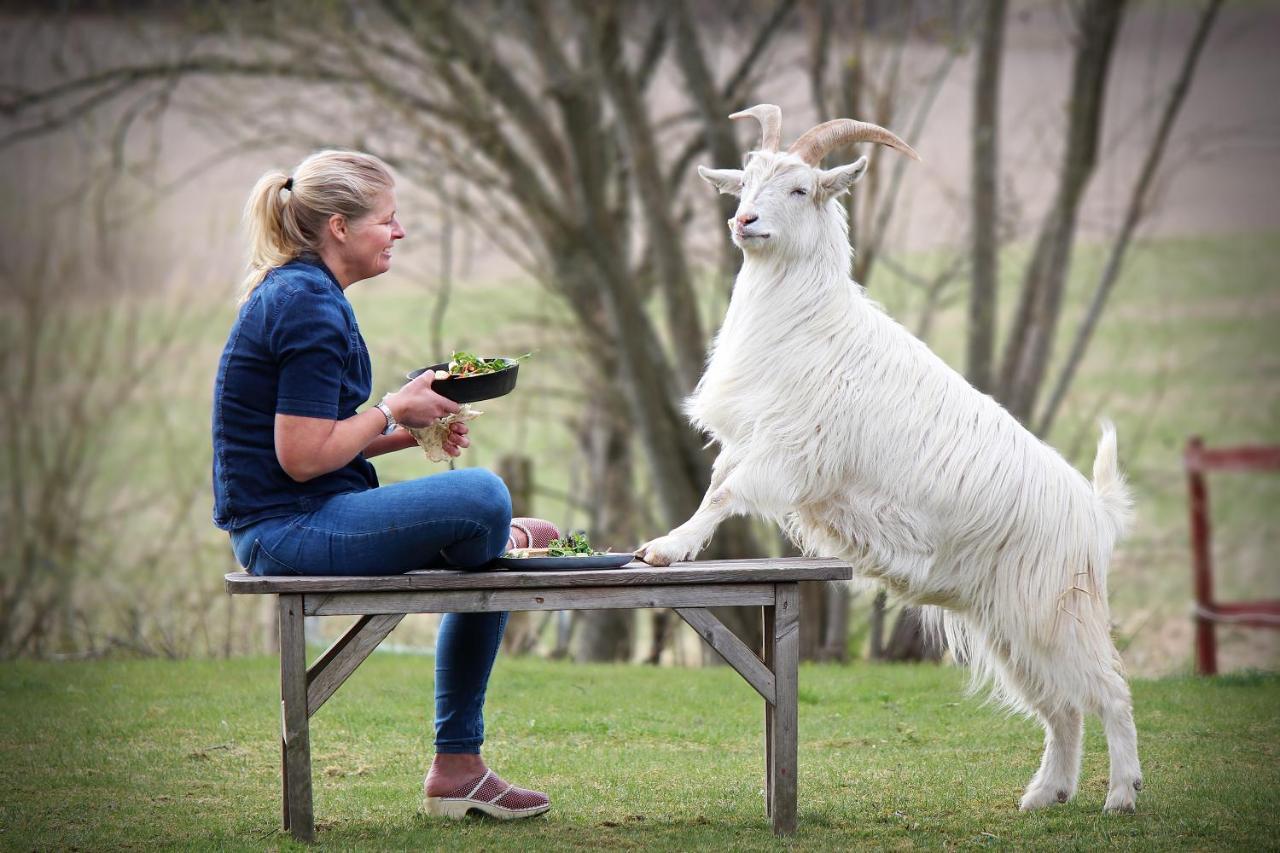 Toric Farmlodge Brastad Zewnętrze zdjęcie