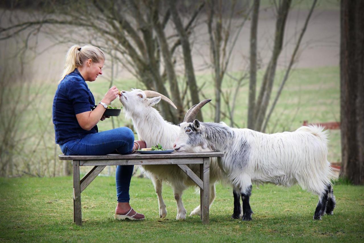 Toric Farmlodge Brastad Zewnętrze zdjęcie